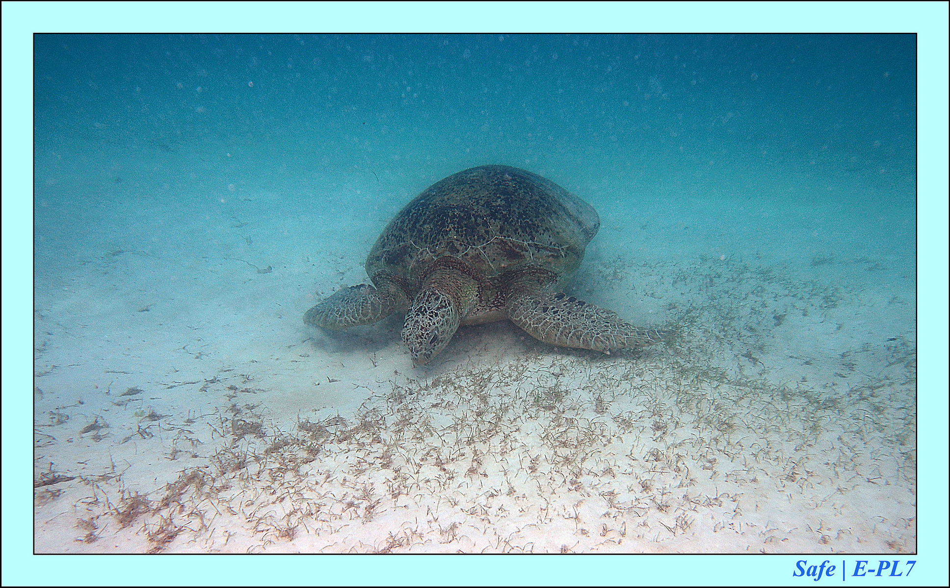 2015   07   Peranthian Islands 03